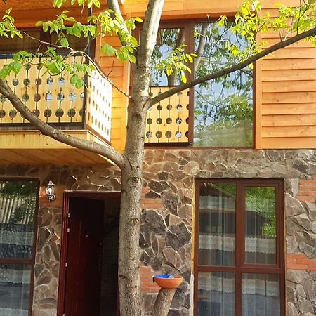 Levani'S Cottage Borjomi ภายนอก รูปภาพ
