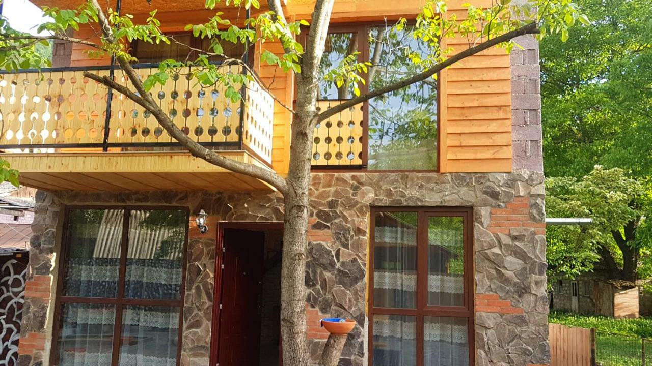 Levani'S Cottage Borjomi ภายนอก รูปภาพ