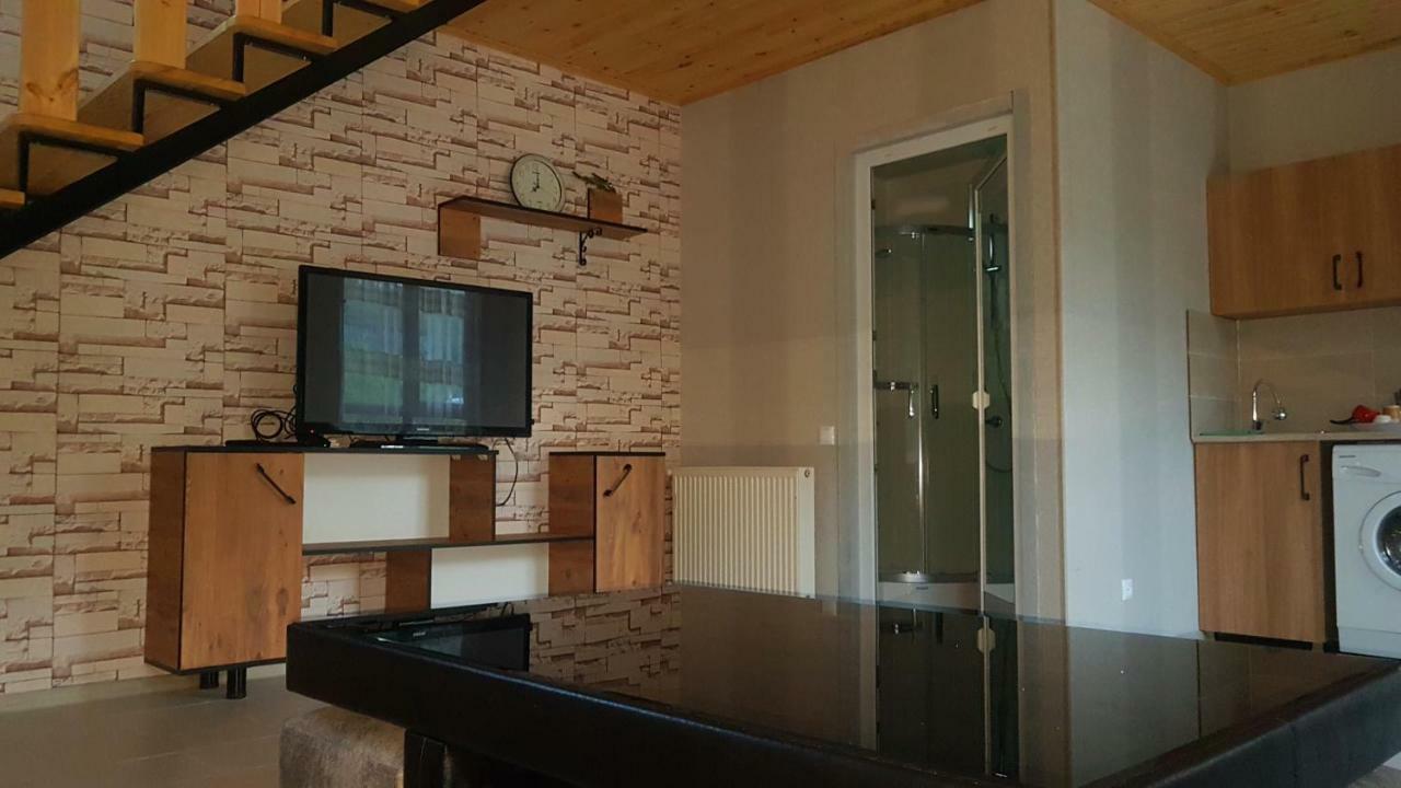 Levani'S Cottage Borjomi ภายนอก รูปภาพ
