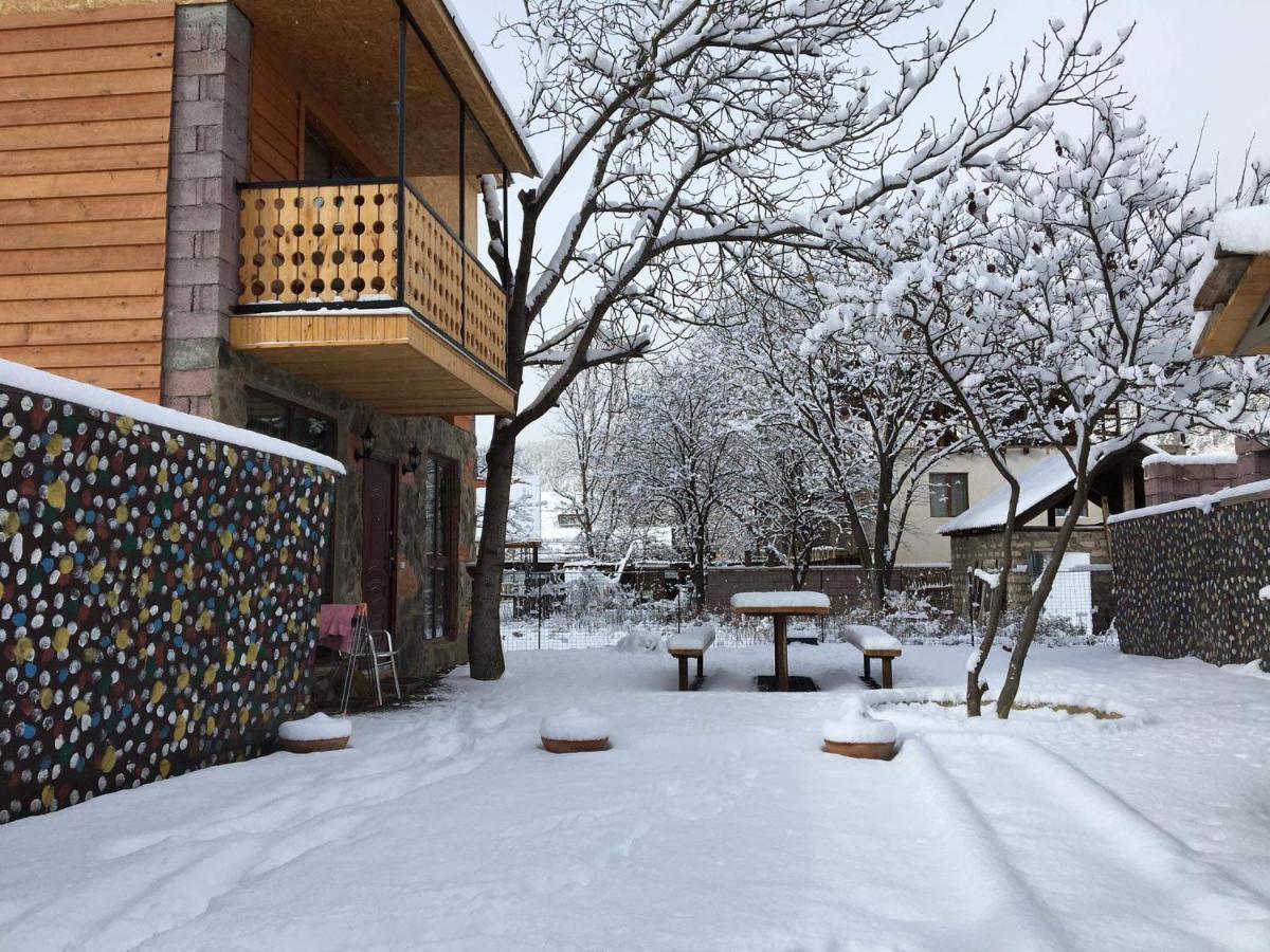 Levani'S Cottage Borjomi ภายนอก รูปภาพ