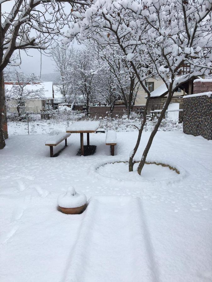 Levani'S Cottage Borjomi ภายนอก รูปภาพ