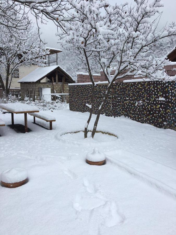 Levani'S Cottage Borjomi ภายนอก รูปภาพ